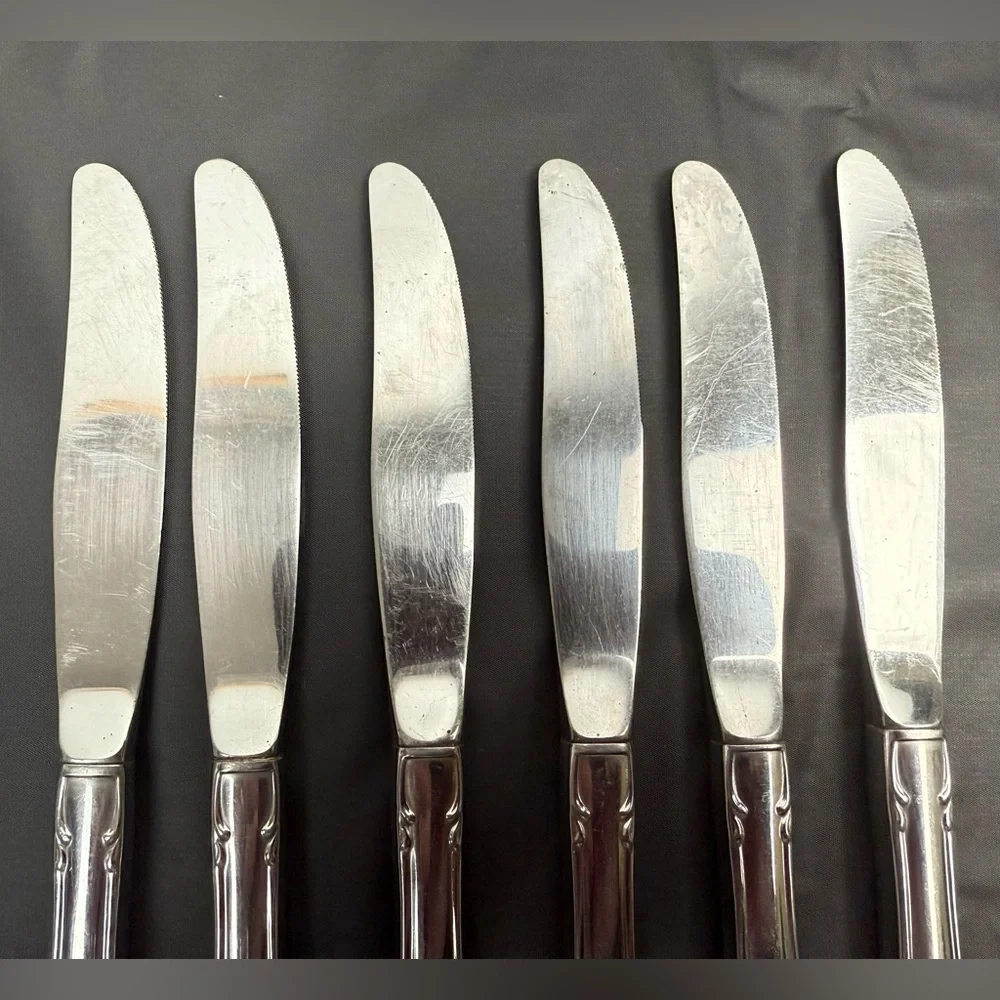 Vtg ONEIDA Arbor Rose True Rose Stainless‎ Floral Handle Knives Hollow Set of 6
